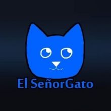 elseniorgato2