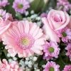 emel06081