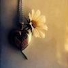 emymokhtar7
