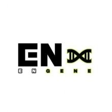 enhypen.engene
