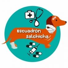 escuadronsalchi