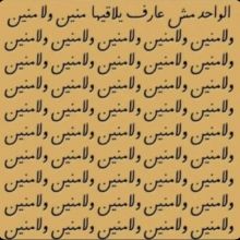 eshades8