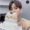 exobaekdiary