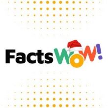 factswow1