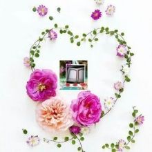 fadila.farhouh