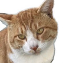 fakemeister