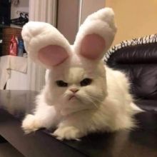 faregundes