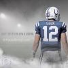 fauxandyluck
