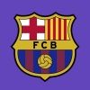 fcbarcelona.ara