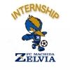 fcmz.intern