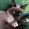 felis.silv