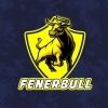 fenerbuli