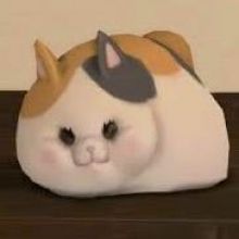 fenrir.cat