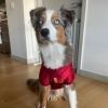 fightonrusty