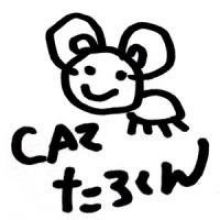 finr.caz