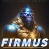 firmusraid