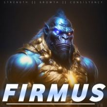 firmusraid
