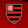 flamengo.en