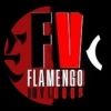 flamengoemvideo