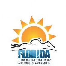 florida.horse