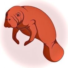 floridaner