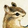 foreststorytime