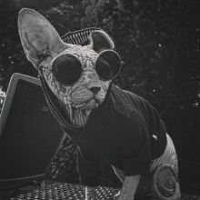 foxyalli