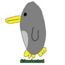 freedomhuri