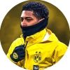 fs.bvb