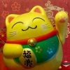 fukukuruneko244