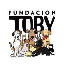 fundaciontoby