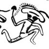 fungidance