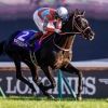 g1.horse.v3