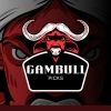 gambull.picks