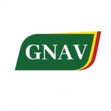 ghananewsavenue