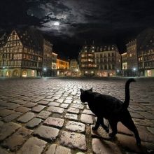 ghostscat