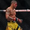 gilbertdurinho