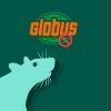 giperglobus