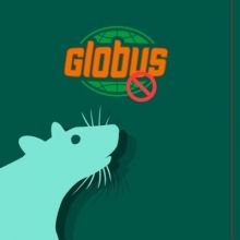 giperglobus
