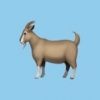goatchallenge
