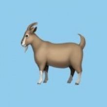 goatchallenge