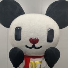 gochan.v
