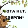 gogotyn36