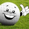 golfbee81