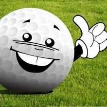 golfbee81