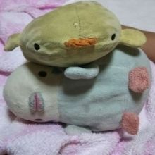 goruyoshi.555