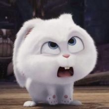 goyalpawni