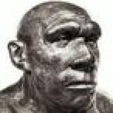grauaerman
