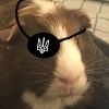 guiniezoo.intel