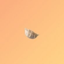 gyozanogu.13